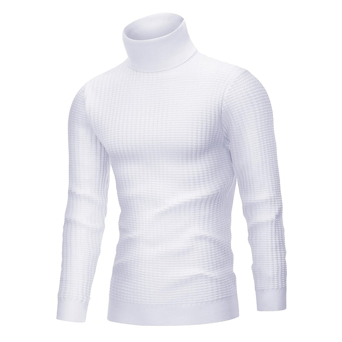 Lion Nardo Turtleneck Sweater Slim Fit Long Sleeve Pullover