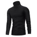 Lion Nardo Turtleneck Sweater Slim Fit Long Sleeve Pullover