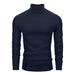 Lion Nardo Turtleneck Sweater Slim Fit Long Sleeve Pullover