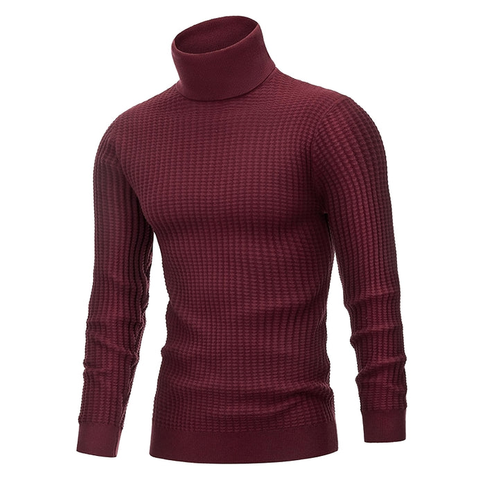 Lion Nardo Turtleneck Sweater Slim Fit Long Sleeve Pullover