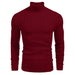 Ribbed Slim Fit Knitted Pullover Casual Turtleneck Sweater