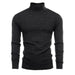 Lion Nardo Turtleneck Sweater Slim Fit Long Sleeve Pullover