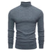 Lion Nardo Turtleneck Sweater Slim Fit Long Sleeve Pullover
