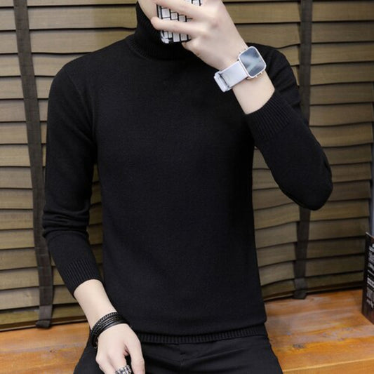 Mens Solid Knitted Turtleneck Sweater