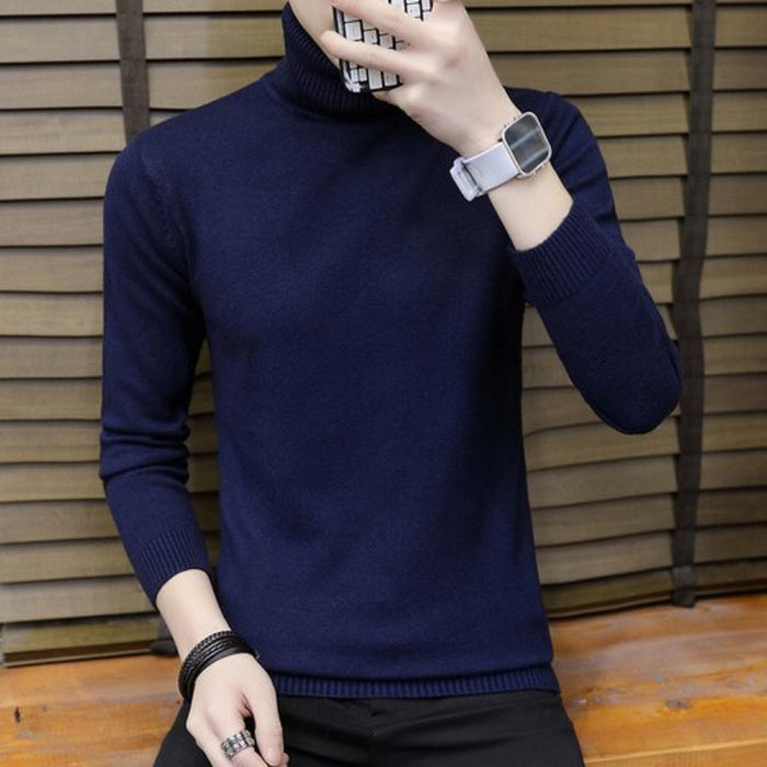 Mens Solid Knitted Turtleneck Sweater