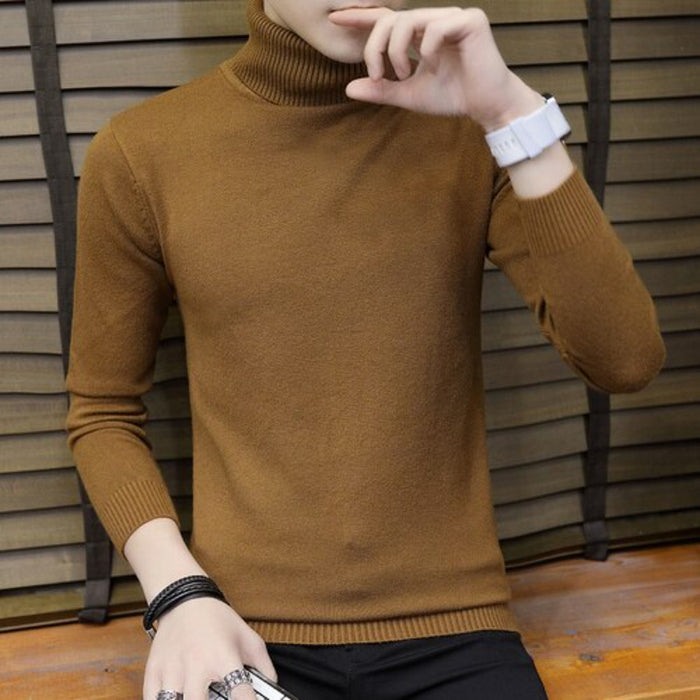 Mens Solid Knitted Turtleneck Sweater