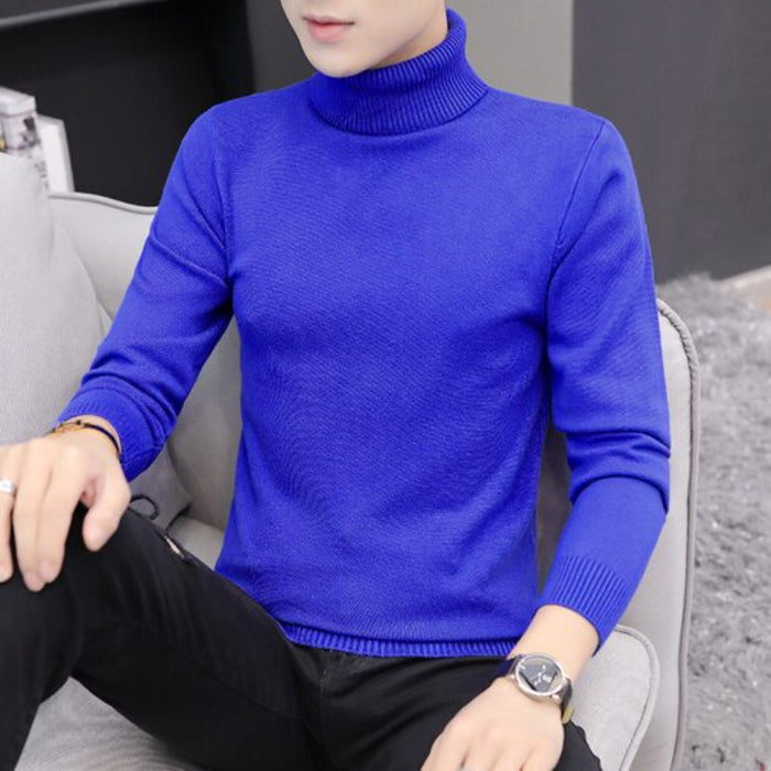 Mens Solid Knitted Turtleneck Sweater