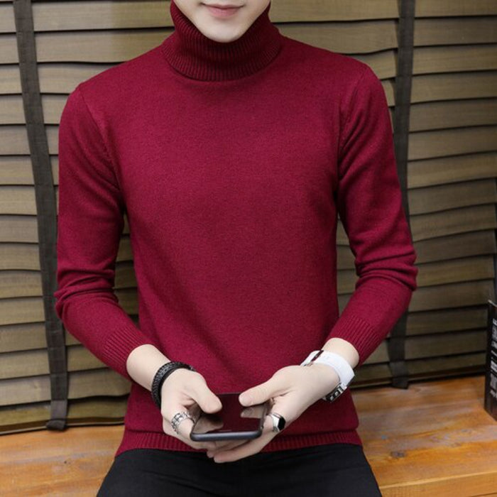 Mens Solid Knitted Turtleneck Sweater