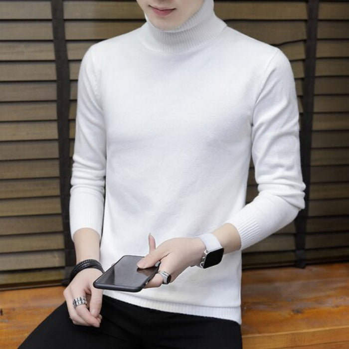 Mens Solid Knitted Turtleneck Sweater